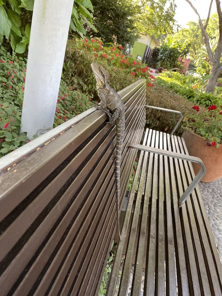 Photo in Brisbane City