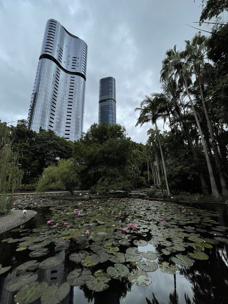 Photo in Brisbane City