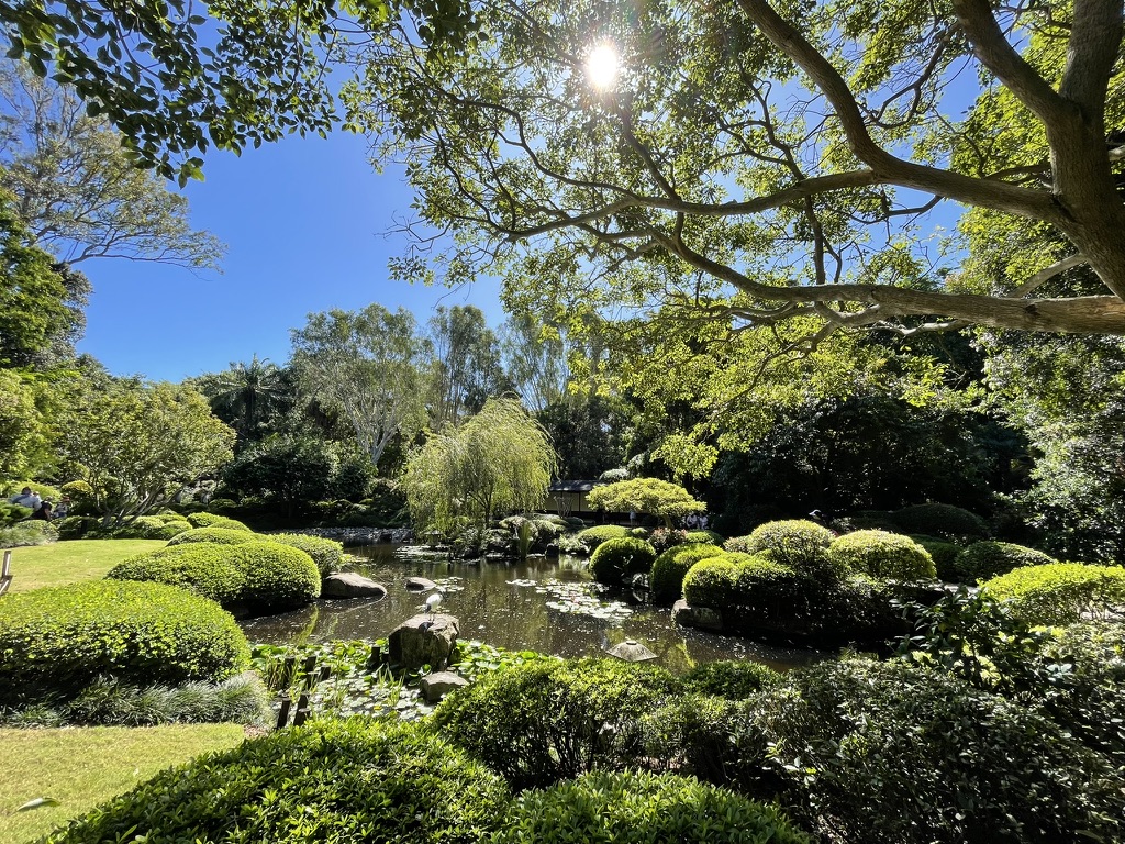 Photo in Mount Coot-tha