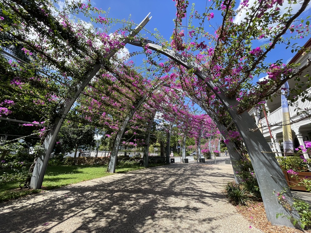 Photo in South Brisbane
