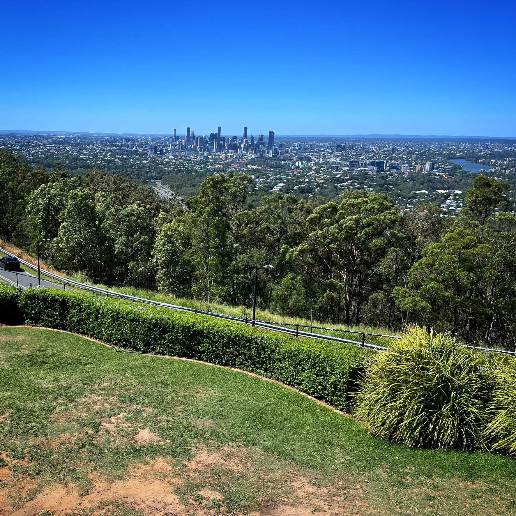 Photo in Mount Coot-tha